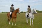 welshponycobshow10thmay2009029_small.jpg