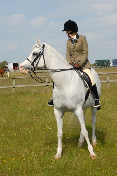 welshponycobshow10thmay2009031.jpg