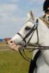 welshponycobshow10thmay2009032_small.jpg