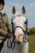 welshponycobshow10thmay2009033_small.jpg