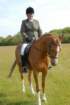 welshponycobshow10thmay2009034_small.jpg