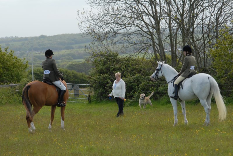 welshponycobshow10thmay2009036.jpg