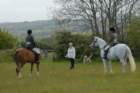 welshponycobshow10thmay2009036_small.jpg