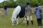 welshponycobshow10thmay2009040_small.jpg