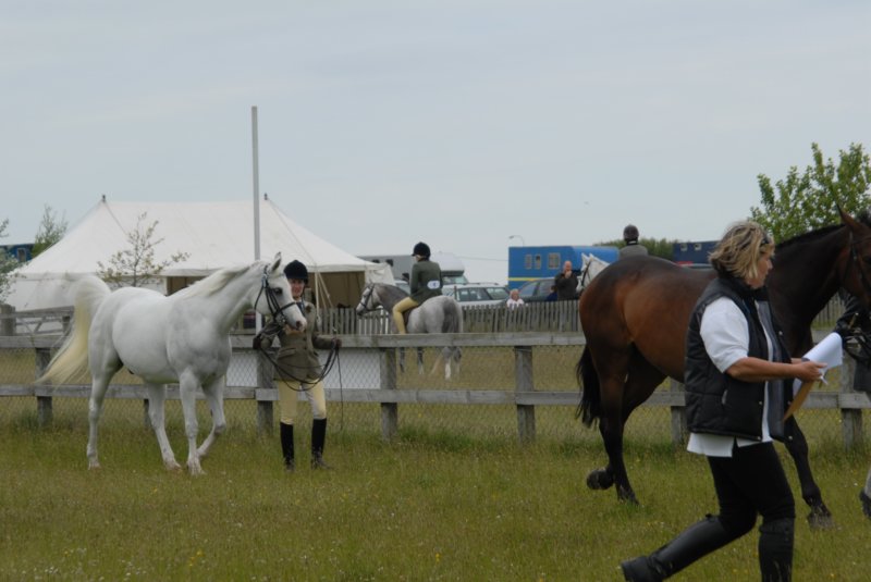 welshponycobshow10thmay2009041.jpg