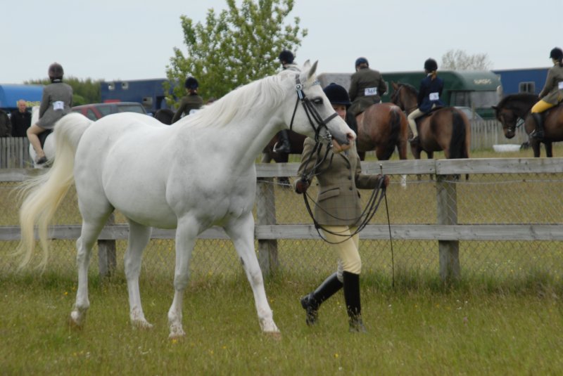 welshponycobshow10thmay2009042.jpg