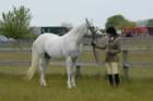 welshponycobshow10thmay2009043_small.jpg