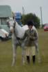 welshponycobshow10thmay2009044_small.jpg