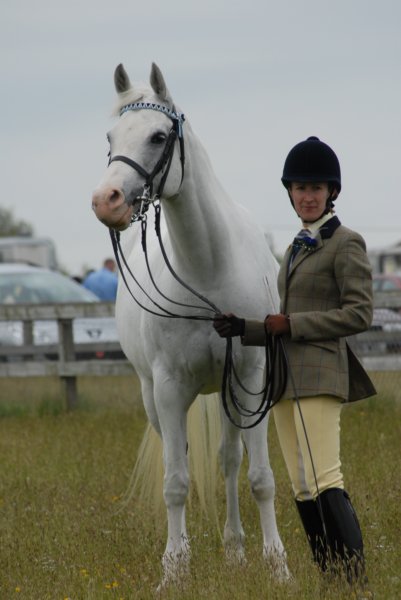 welshponycobshow10thmay2009046.jpg