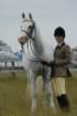 welshponycobshow10thmay2009046_small.jpg