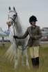 welshponycobshow10thmay2009047_small.jpg