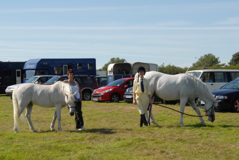 huntshow23rdaugust2009001.jpg