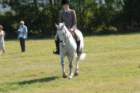 huntshow23rdaugust2009003_small.jpg