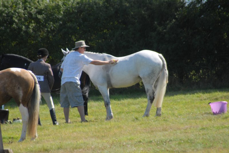 huntshow23rdaugust2009004.jpg