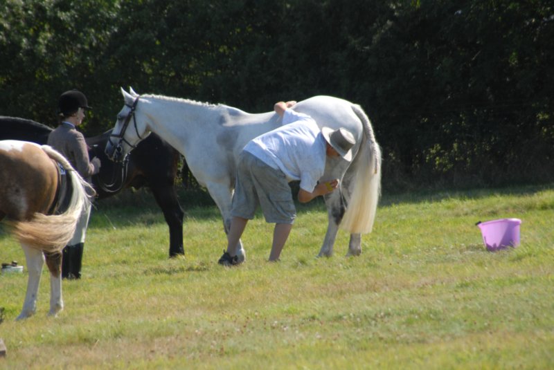 huntshow23rdaugust2009006.jpg