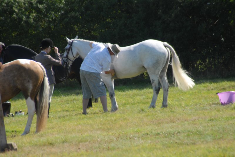 huntshow23rdaugust2009007.jpg