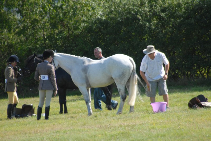 huntshow23rdaugust2009009.jpg