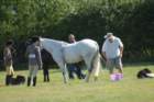 huntshow23rdaugust2009009_small.jpg