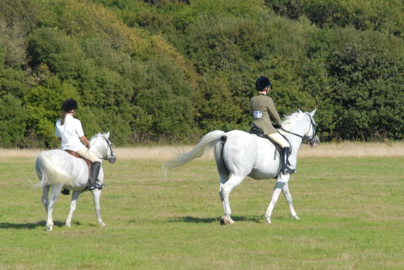 huntshow23rdaugust2009015.jpg