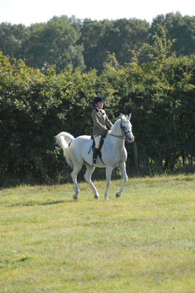 huntshow23rdaugust2009018.jpg