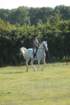 huntshow23rdaugust2009018_small.jpg