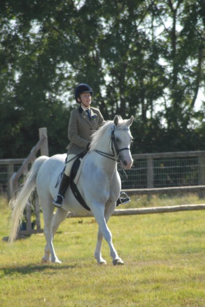 huntshow23rdaugust2009020.jpg