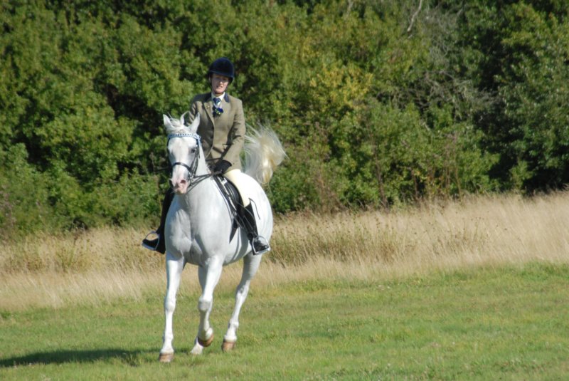 huntshow23rdaugust2009023.jpg