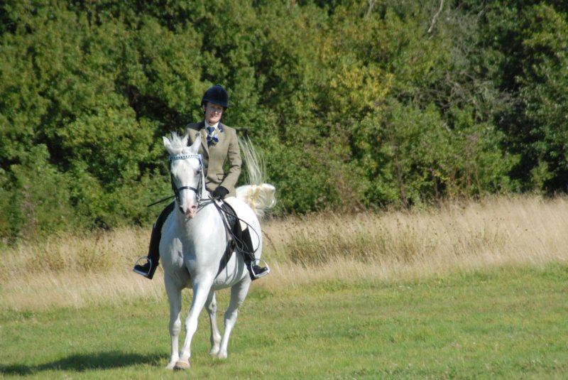 huntshow23rdaugust2009024.jpg