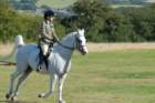 huntshow23rdaugust2009026_small.jpg