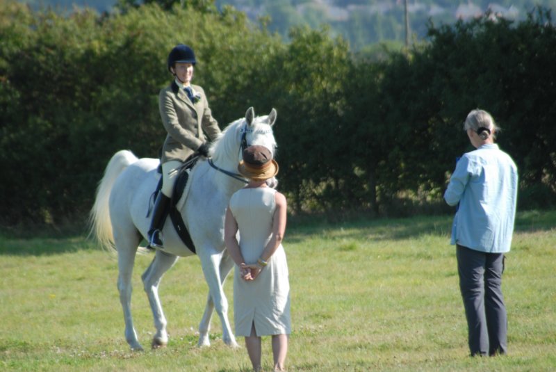 huntshow23rdaugust2009027.jpg