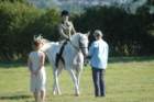 huntshow23rdaugust2009028_small.jpg