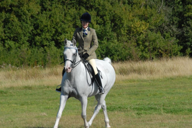 huntshow23rdaugust2009030.jpg