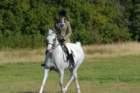 huntshow23rdaugust2009030_small.jpg