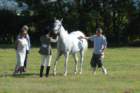 huntshow23rdaugust2009035_small.jpg