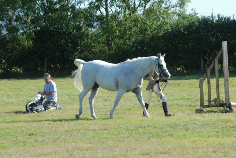 huntshow23rdaugust2009036.jpg