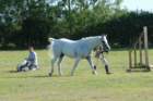 huntshow23rdaugust2009036_small.jpg