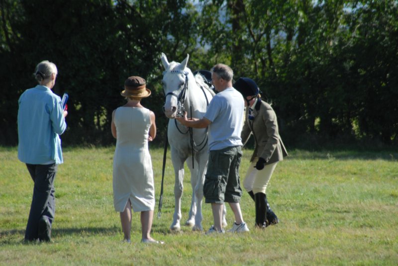 huntshow23rdaugust2009039.jpg