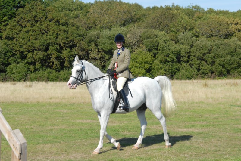 huntshow23rdaugust2009047.jpg