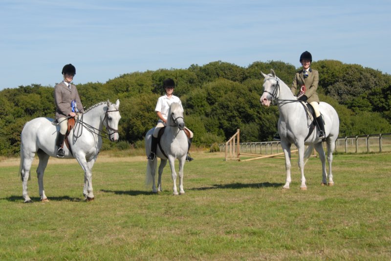 huntshow23rdaugust2009048.jpg