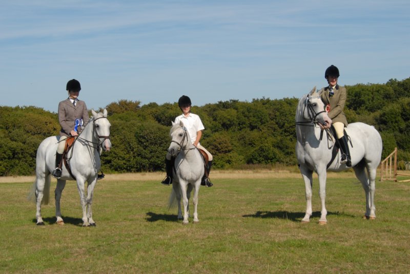 huntshow23rdaugust2009049.jpg