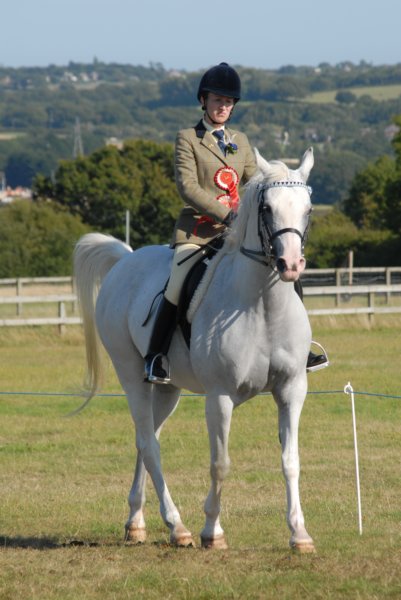 huntshow23rdaugust2009054.jpg