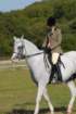 huntshow23rdaugust2009059_small.jpg