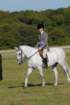 huntshow23rdaugust2009060_small.jpg