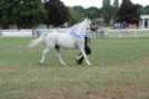 malvern_075_small.jpg