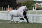 malvern_077_small.jpg