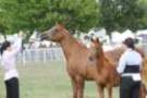 malvern_079_small.jpg