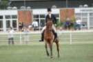 malvern_081_small.jpg