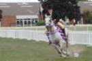 malvern_085_small.jpg