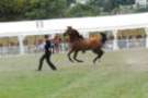 malvern_092_small.jpg