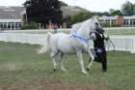 malvern_093_small.jpg